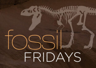 Fossil Fridays