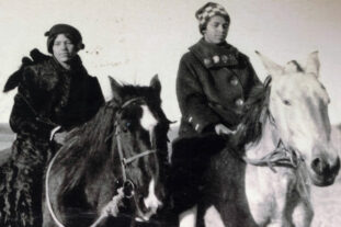 Descendants of DeWitty