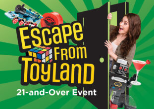 Escape From Toyland