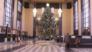 Christmas tree in Great Hall