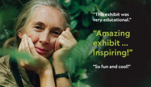 Dr. Jane Goodall