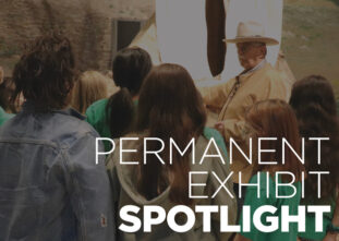 Exhibit Spotlight