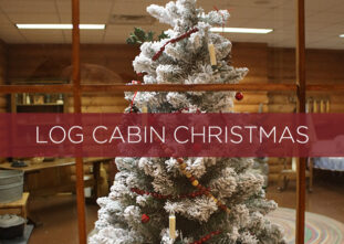 Log Cabin Display