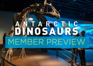 Antarctic Dinosaurs exhibit